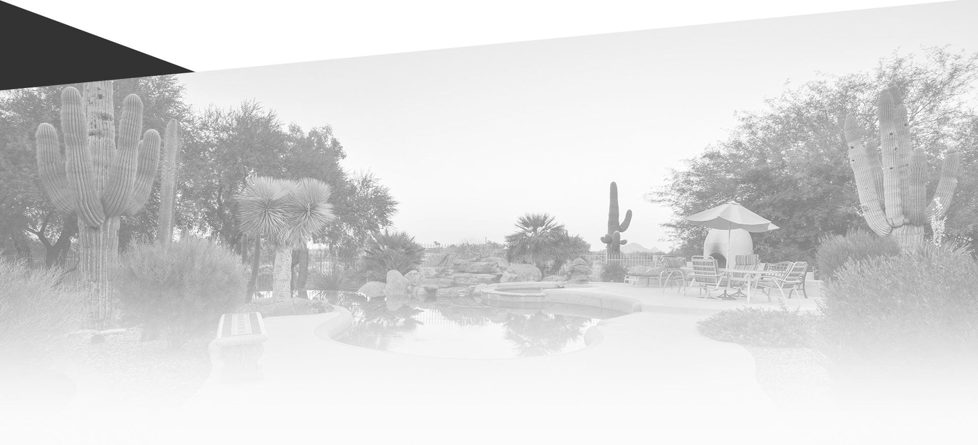  A monochrome photograph depicting a garden, elegantly contrasted with a white background, highlighting its beauty.
